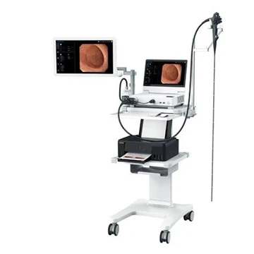 Digestive Endoscopy System