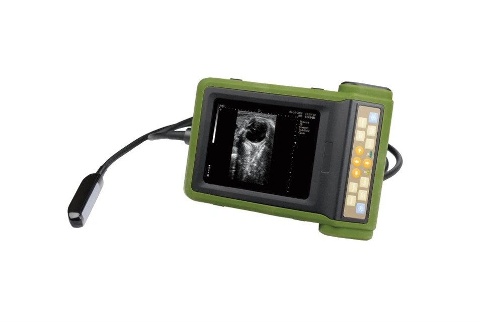 Portable Ultrasound Scanner Veterinary Pregnancy FTL-RKU10 factory