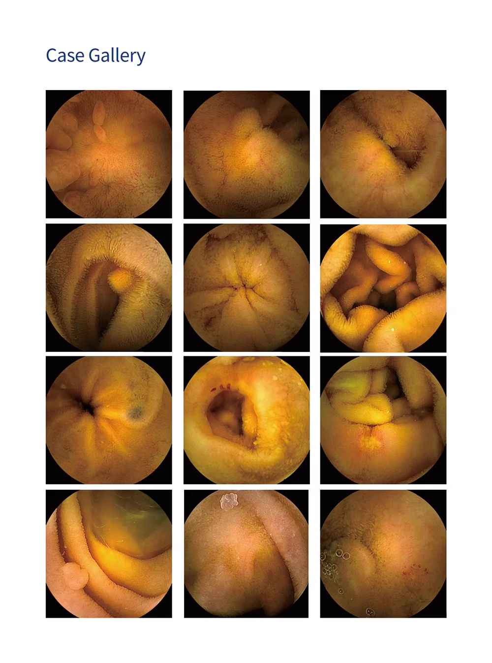 Detail-07 1 Detail-07 1