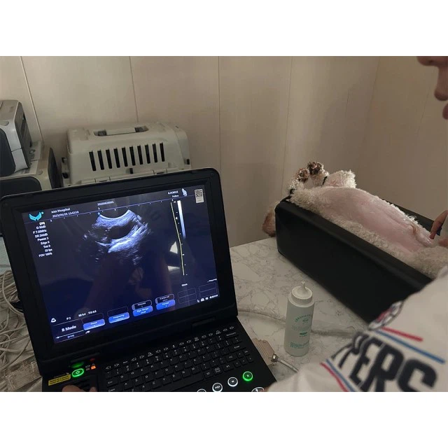 FTL-UTS100 Hot Medical Ultrasound Instrument 3D 4D Portable Sonoscape 4 FTL-UTS100 Hot Medical Ultrasound Instrument 3D 4D Portable Sonoscape 4