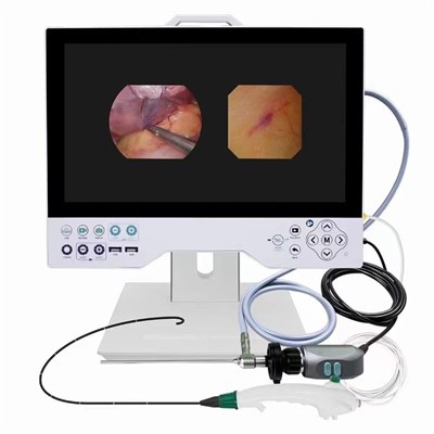 Rigid-Flex Endoscope