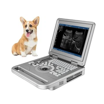 B/W Ultrasound Machine FTL-UTS20