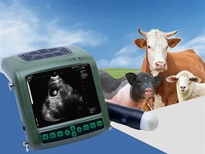 Livestock Ultrasound Machine