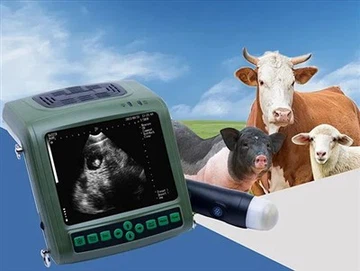 Livestock Ultrasound Machine